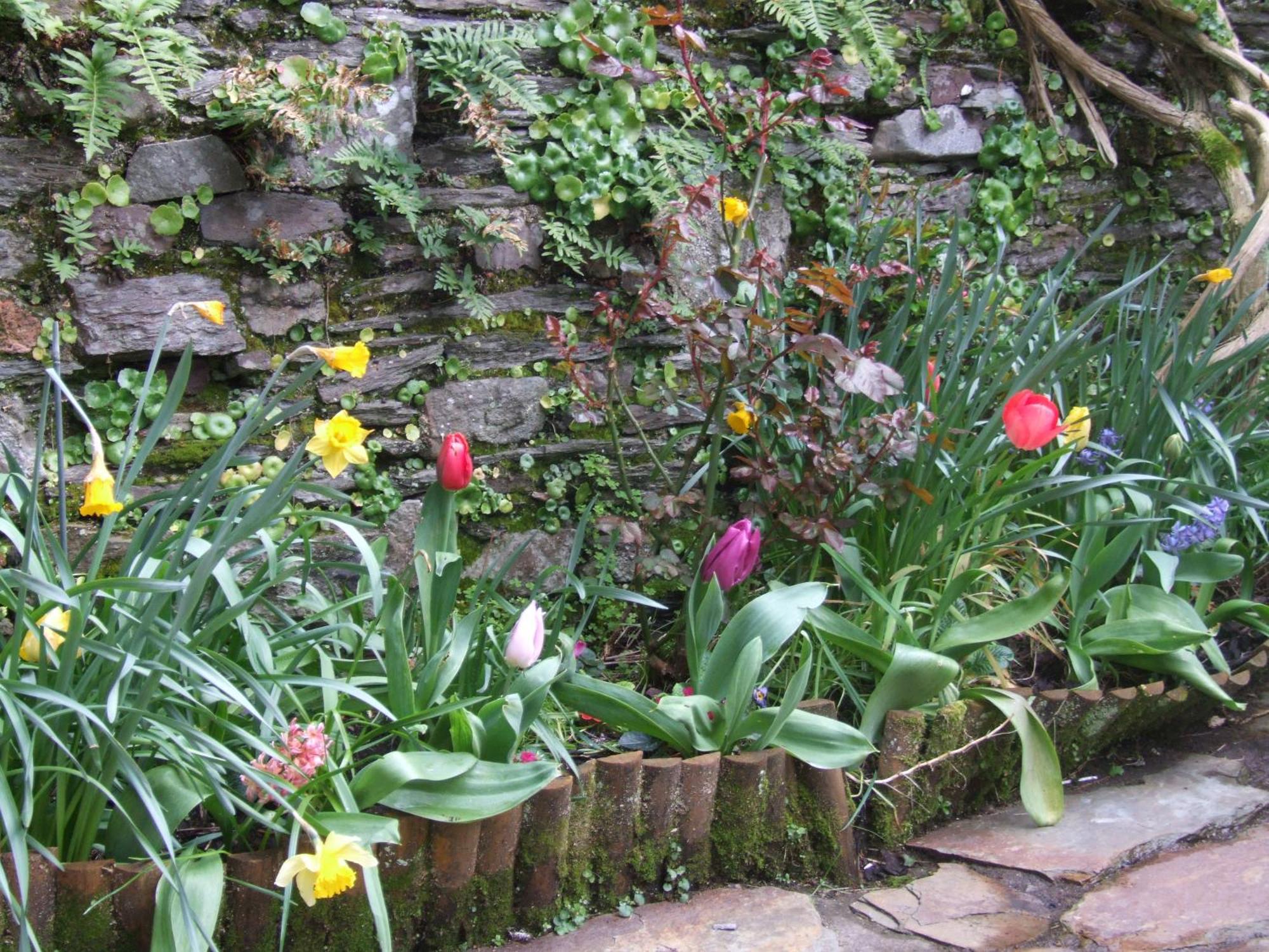Inglenook Villa Kinsale Bagian luar foto